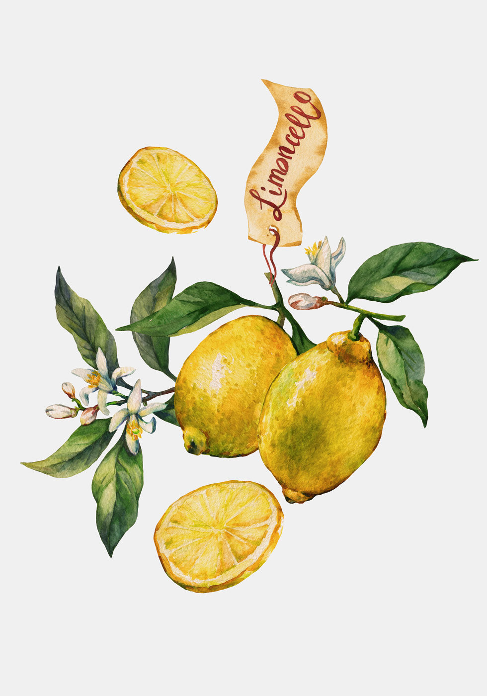 Lemon Citrus Limon Plakat - Posterbox.no