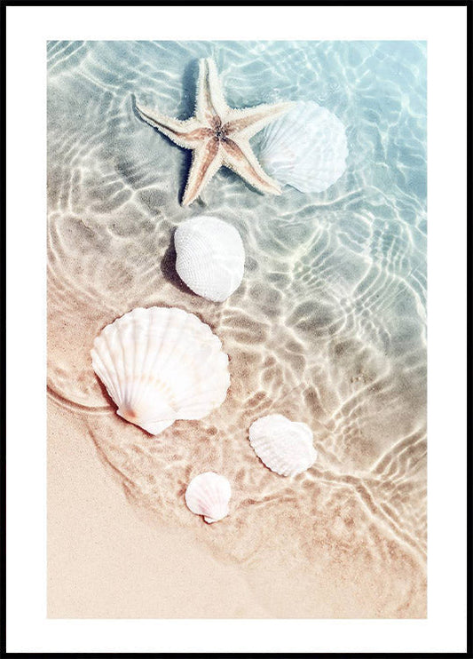 Starfish & Seashell Plakat - Posterbox.no