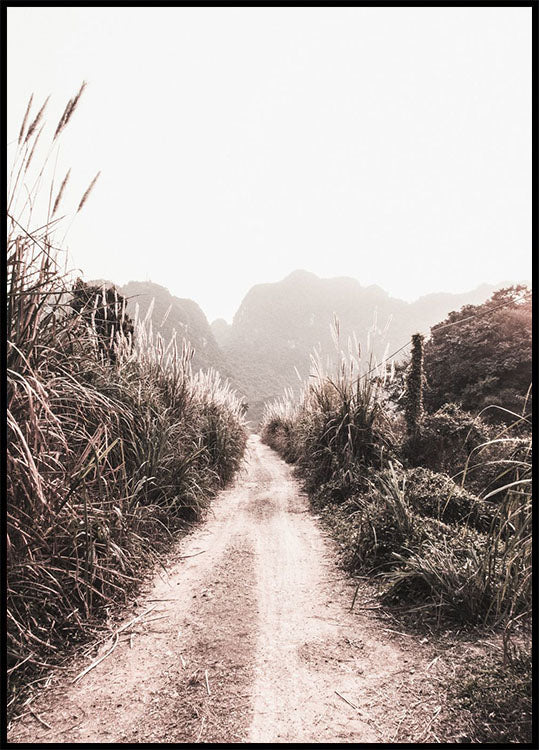 Dirt Road in Grass Fields Plakat - Posterbox.no