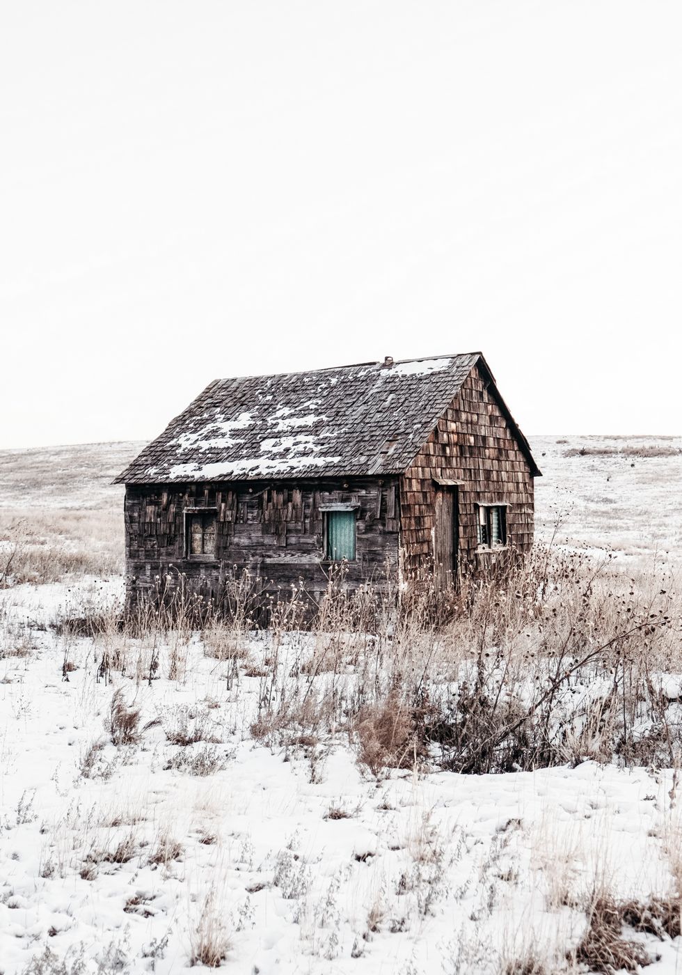 Sandhills Cabin in Snow Plakat - Posterbox.no