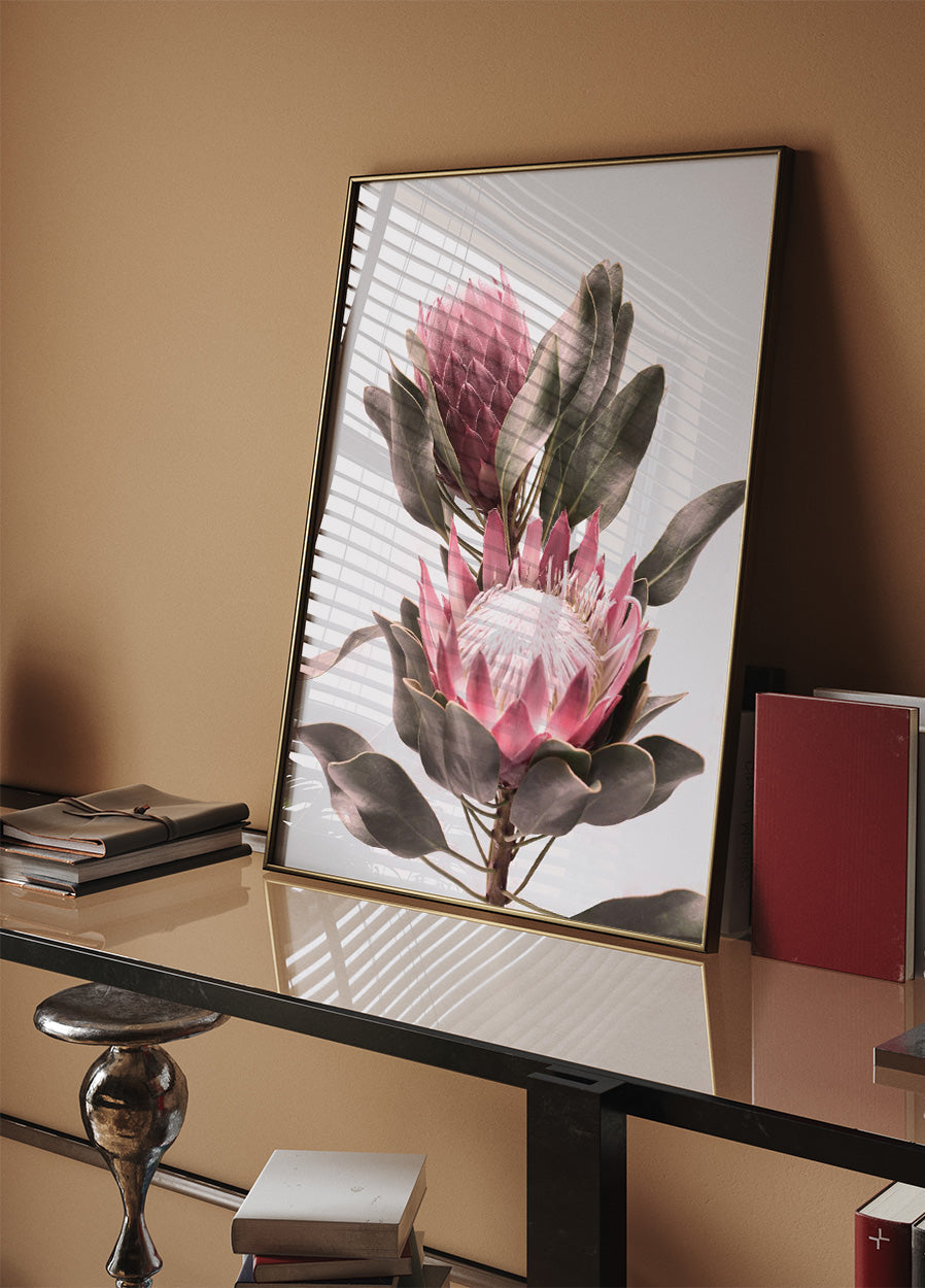 Protea Flowers Plakat - Posterbox.no