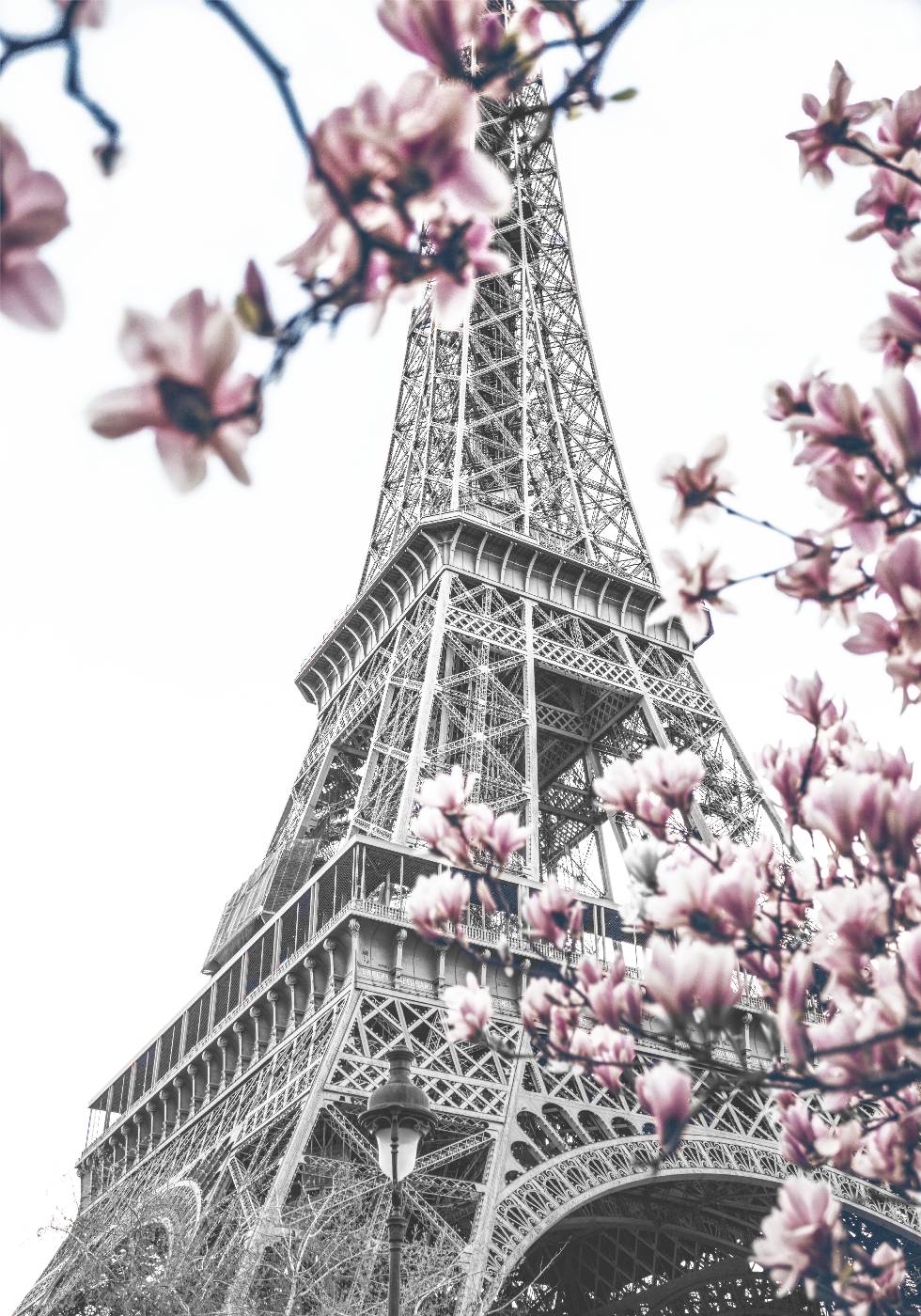 Blooming Eiffel Tower Plakat - Posterbox.no