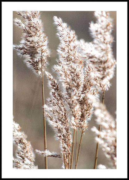 Autumn Meadow Plakat - Posterbox.no