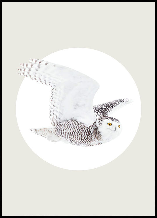 White Owl Plakat - Posterbox.no