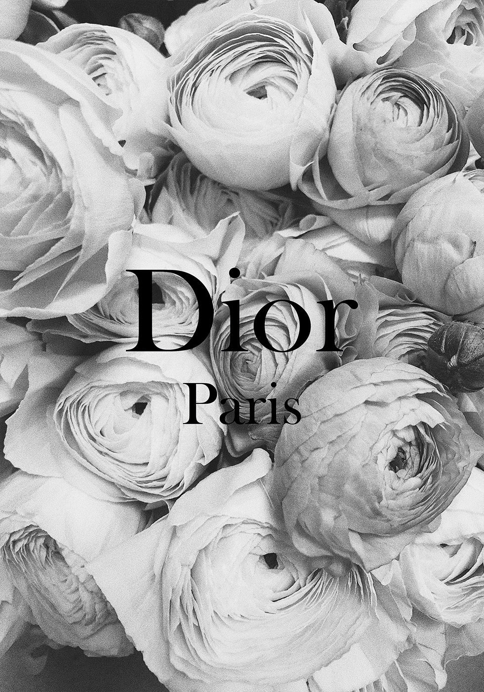 Dior Ranunkeln Poster 