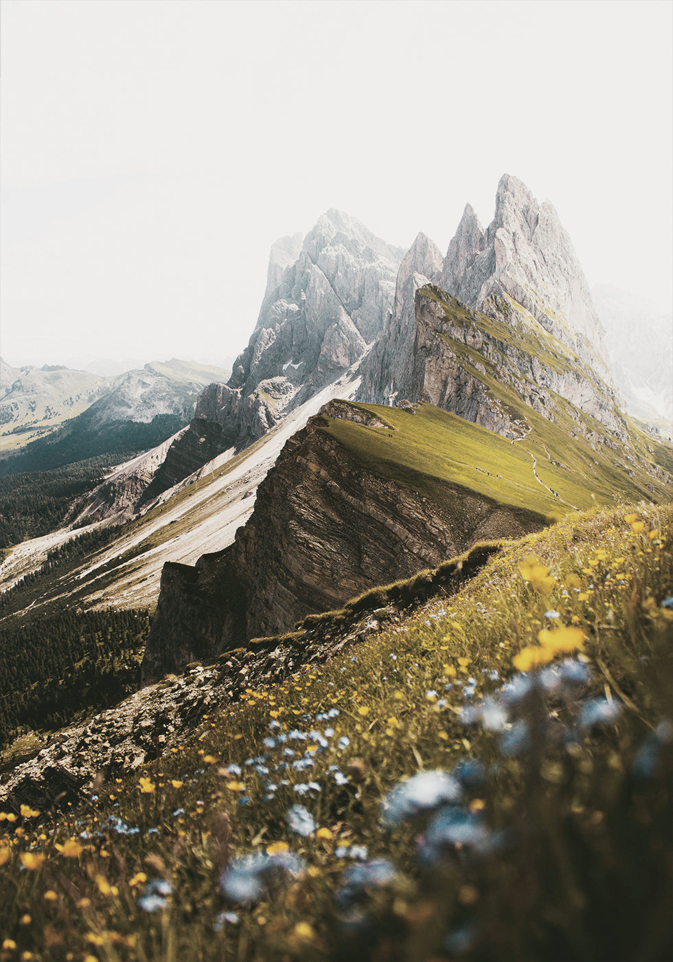 Poster Alpenblüten und Gipfel 