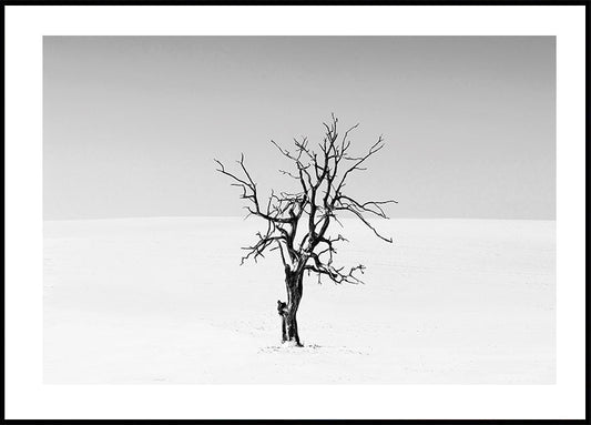 Poster Trockener Baum im Schnee 