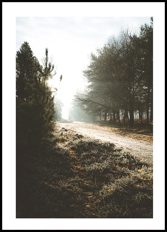 Poster „New Forest“ 