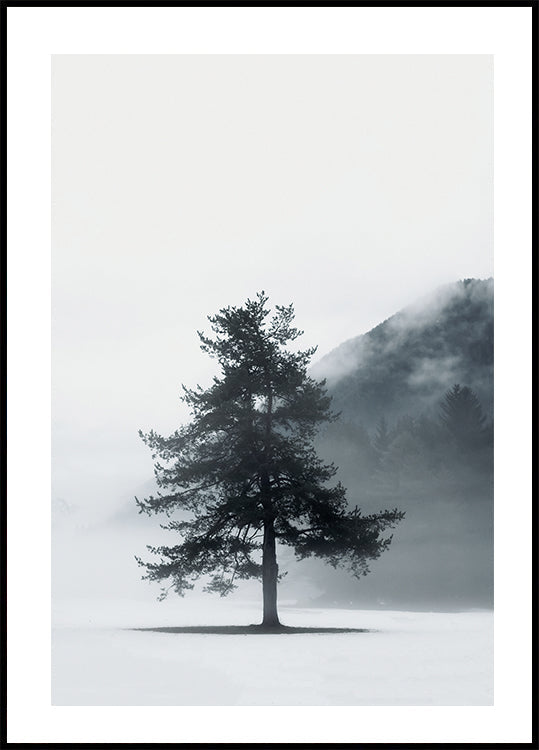 Poster Einsame Kiefer im Nebel Feld 