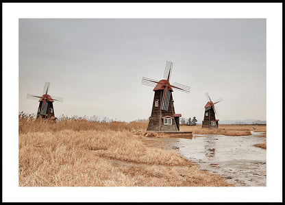 Old Windmills in the Countryside Poster