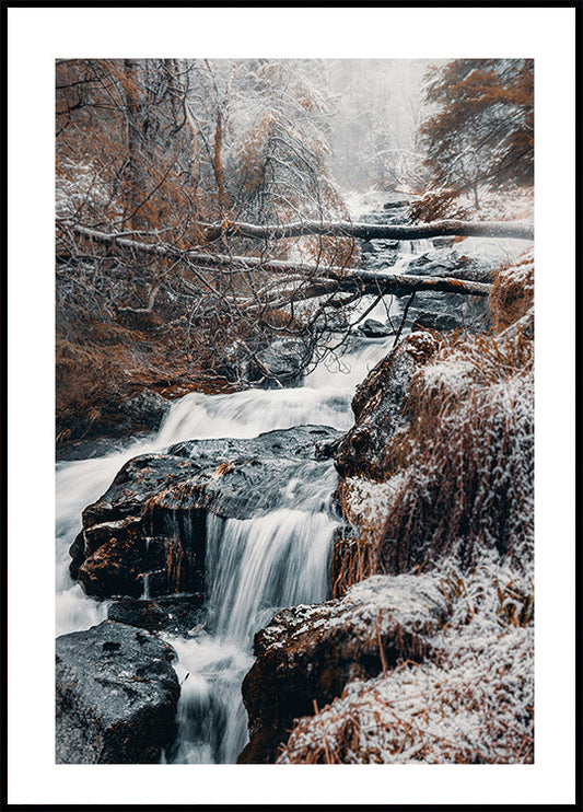 Poster Winter-Wasserfall im Wald 