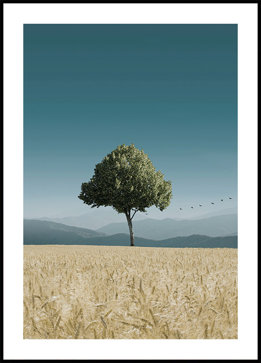 Poster Grüner Baum im Feld 