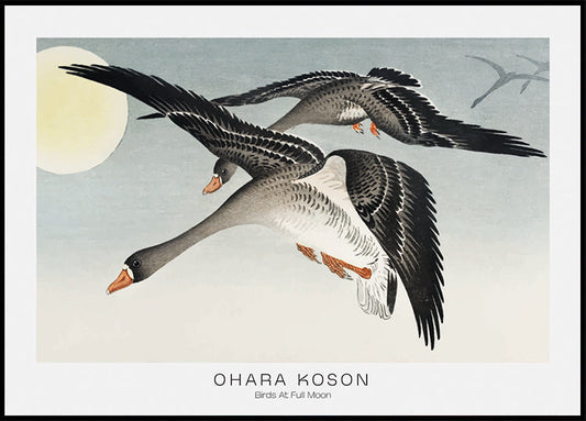 Vögel bei Vollmond von Ohara Koson Poster 