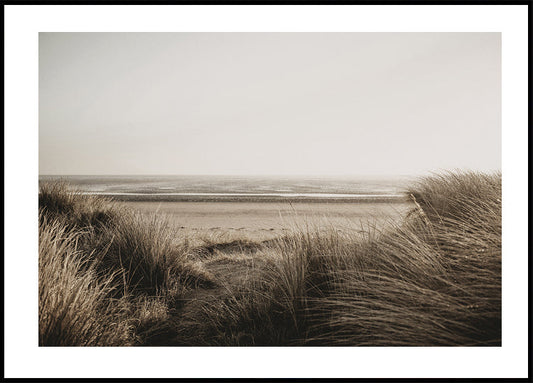 Poster Blick auf den Strand hinter dem Gras 