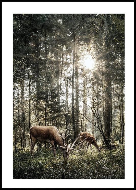 Poster Hirsch im Wald 