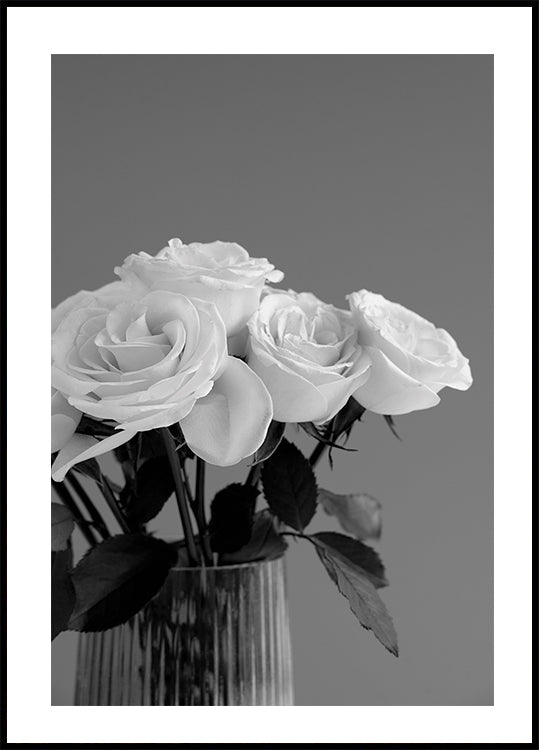 Elegante Rose Poster