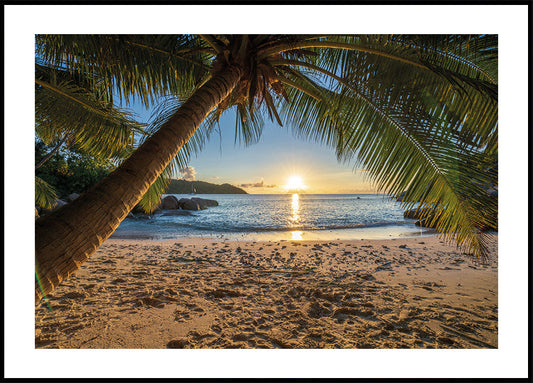 Poster Tropischer Strand Ruhe