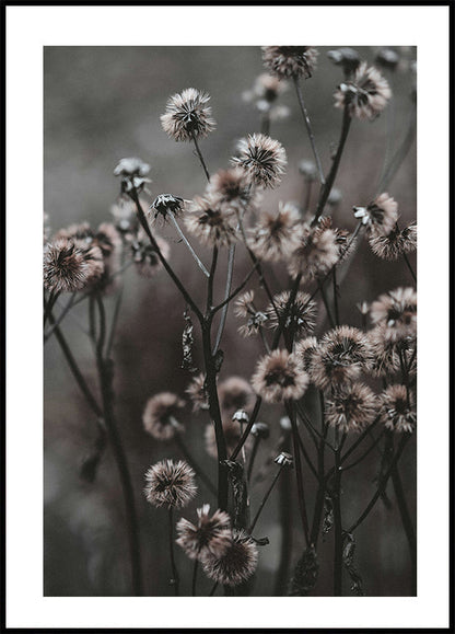 Poster Waldblumen 