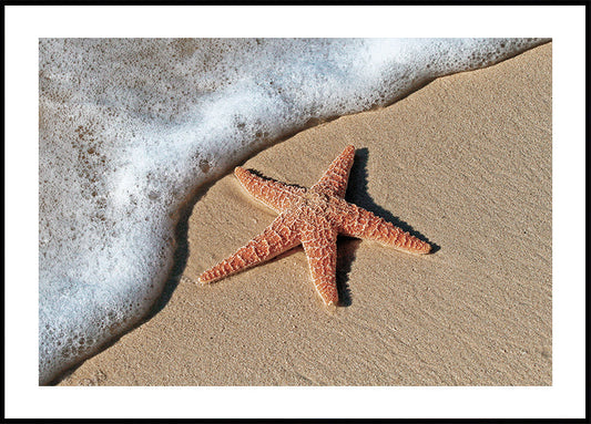 Poster Seesterne am Strand 