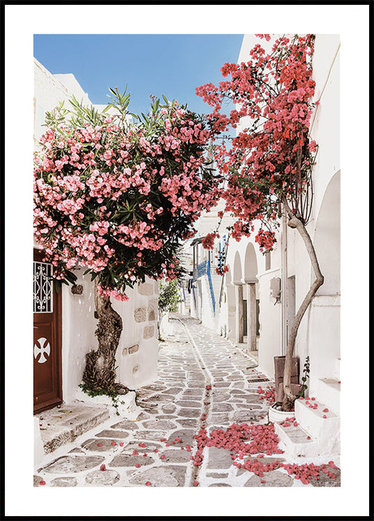 Pink Flower Trees in a Picturesque Alley Poster