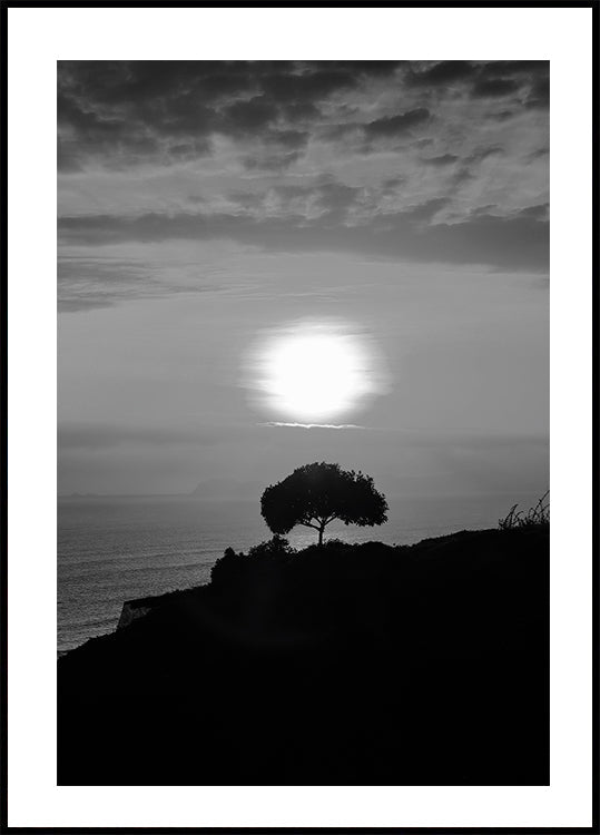 Ein Baum bei Sonnenuntergang Poster 