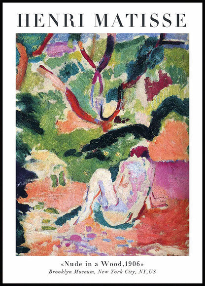 Henri Matisse - Akt im Wald Poster 