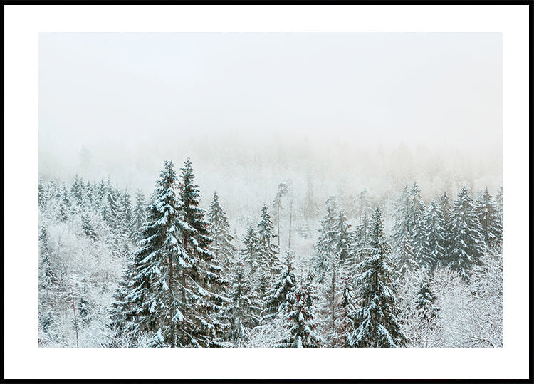 Poster Schneebedeckter Tannenwald