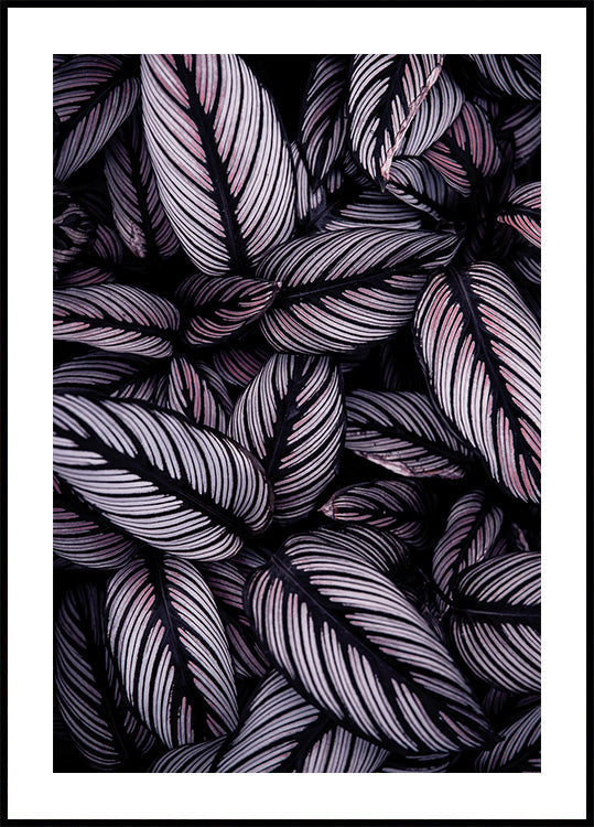 Purple Leaves Poster