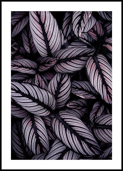 Purple Leaves Poster