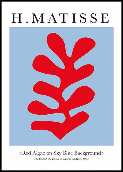 H. Matisse Rote Algen auf himmelblauem Hintergrund Poster 