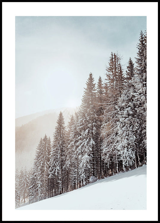 Poster Schneebedeckte Bäume 