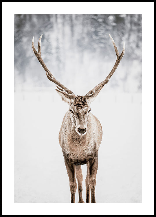 Noble Deer in the Snow Poster