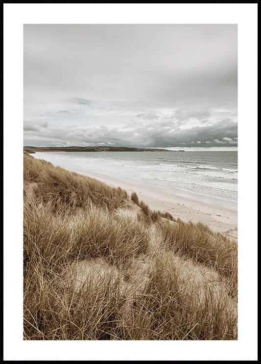 Poster Gras am Strand 