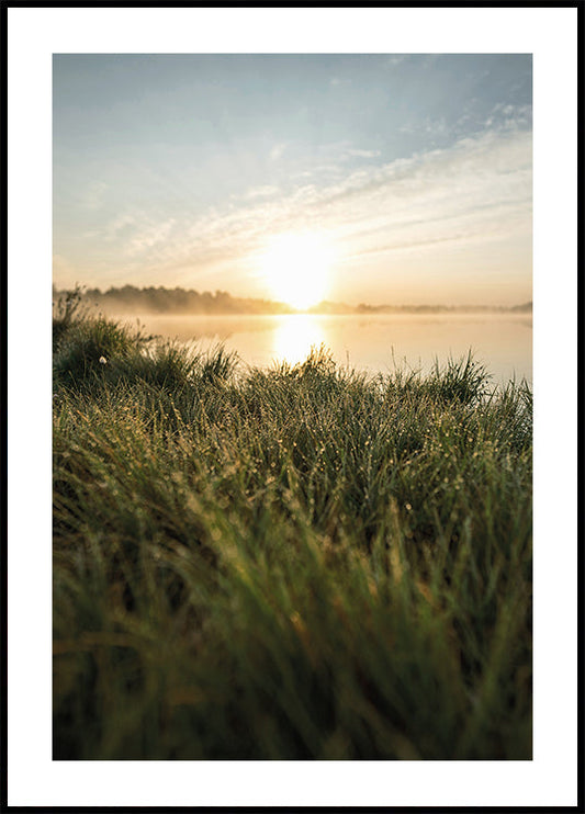 Poster Taufrische Morgendämmerung am See 