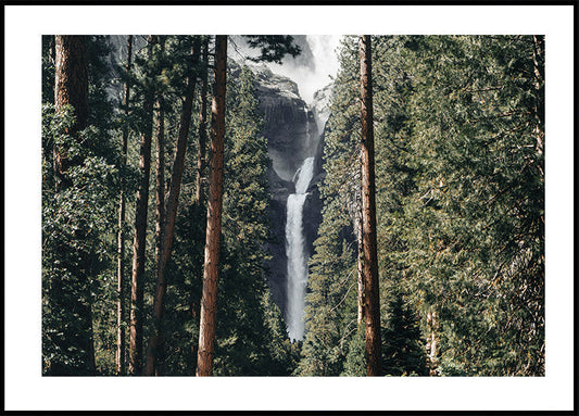 Poster Wasserfall im Wald 