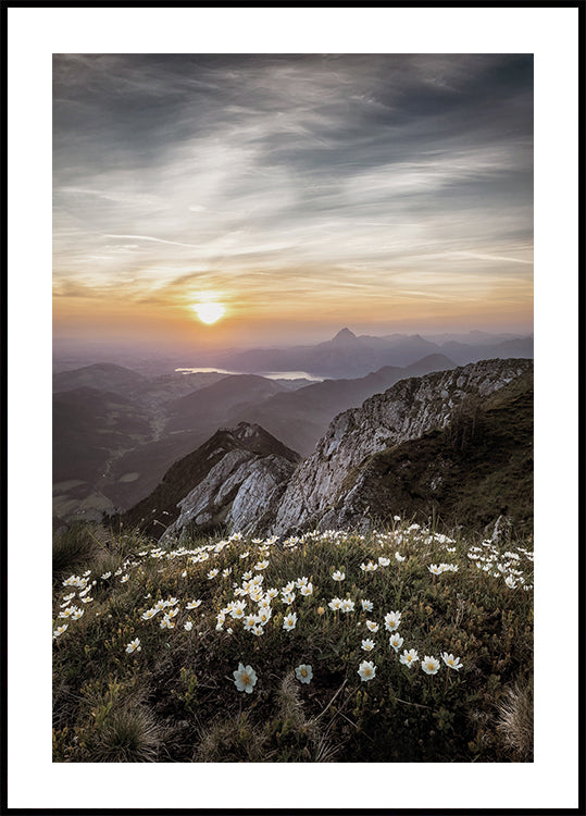 Poster Sonnenaufgang über Bergwildblumen 