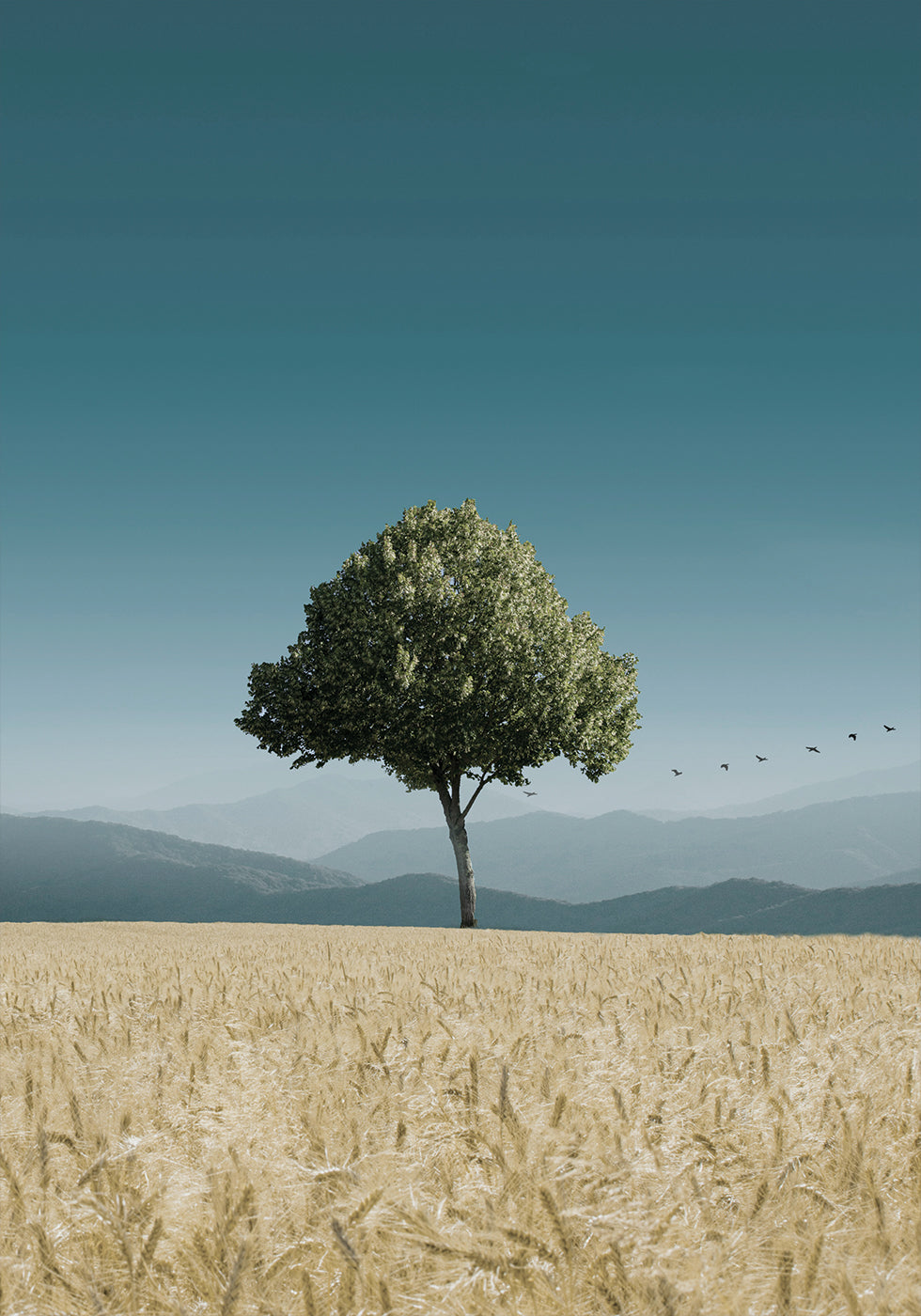 Poster Grüner Baum im Feld 