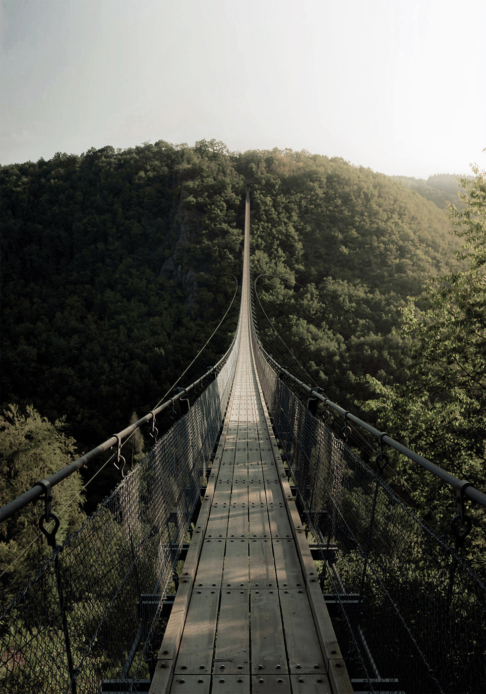 Poster Hängebrücke 