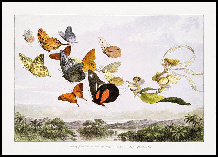 In Fairyland Butterflies By Richard Doyle Vintage Art Plakat - Posterbox.no