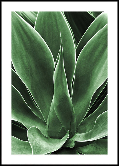 Green Leaf Detail Poster