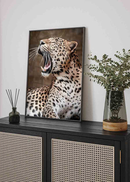 Poster Leopard brüllt in der Natur