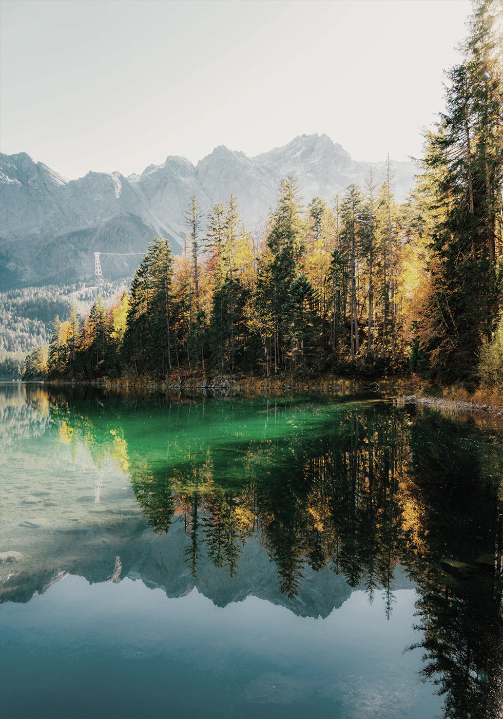 Poster Morgenreflexion am See 