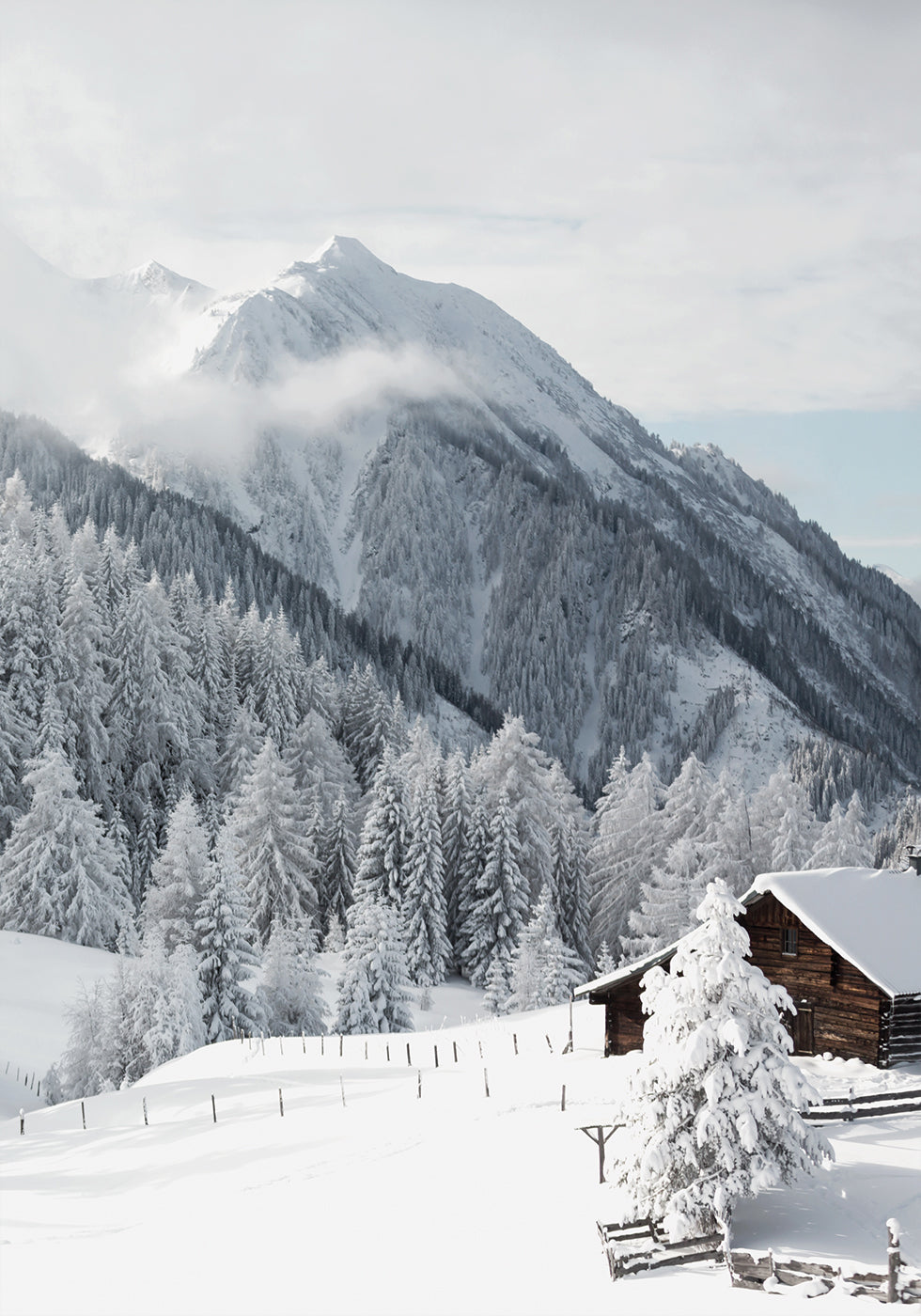 Poster Schneebedeckte Hütte in den Alpen 