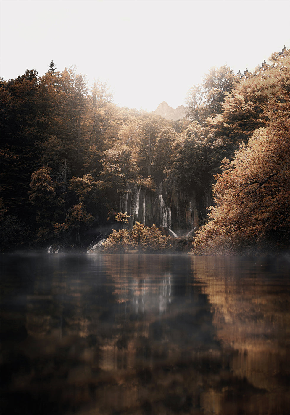 Poster Sonnenaufgang im nebligen Wald mit Reflexionen 