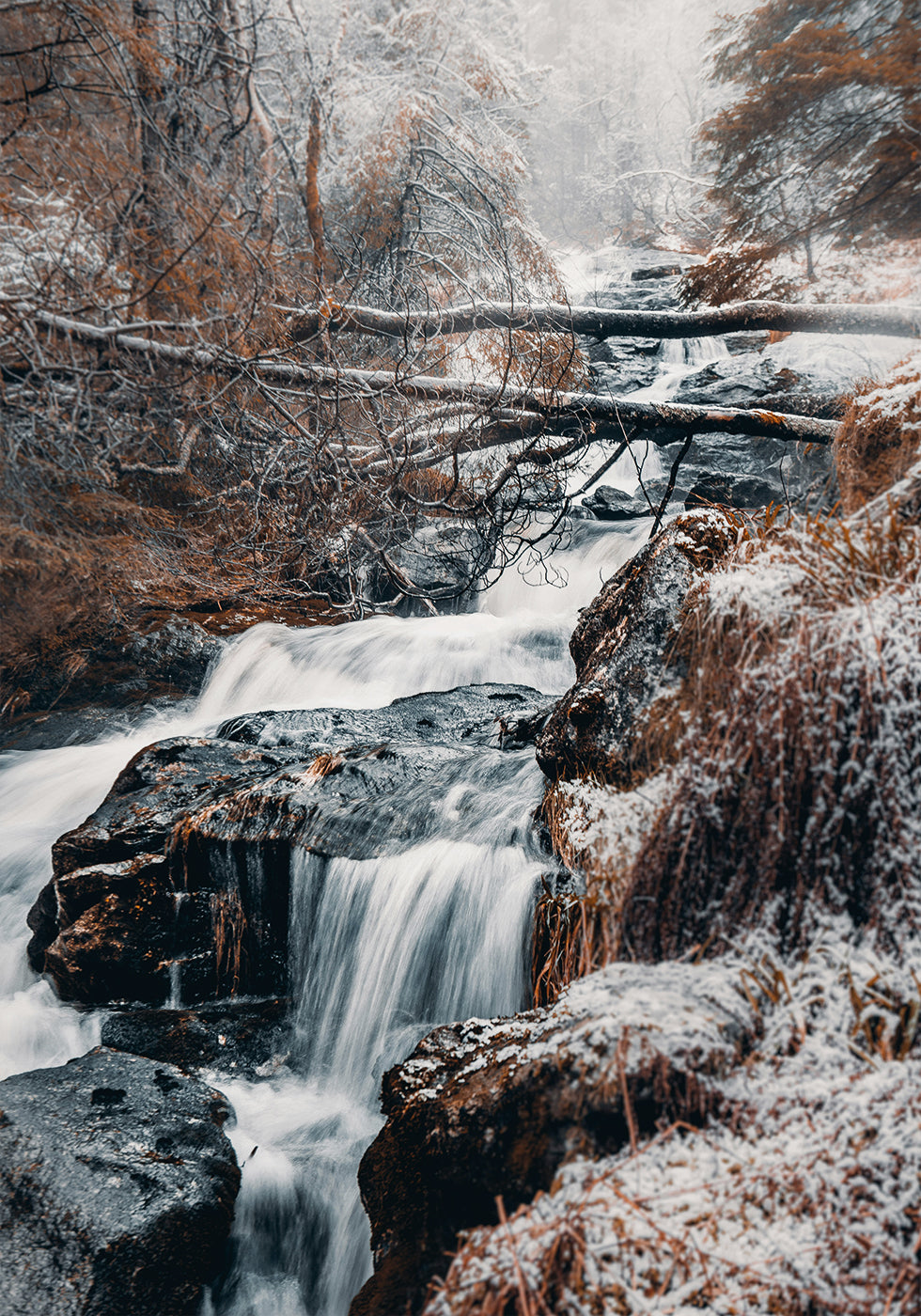 Poster Winter-Wasserfall im Wald 