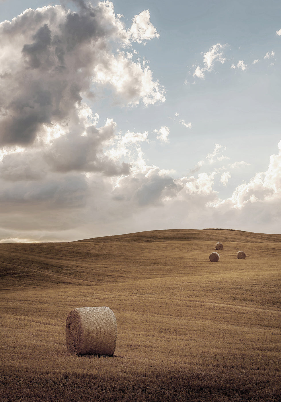 Poster Feld mit Heuballen 