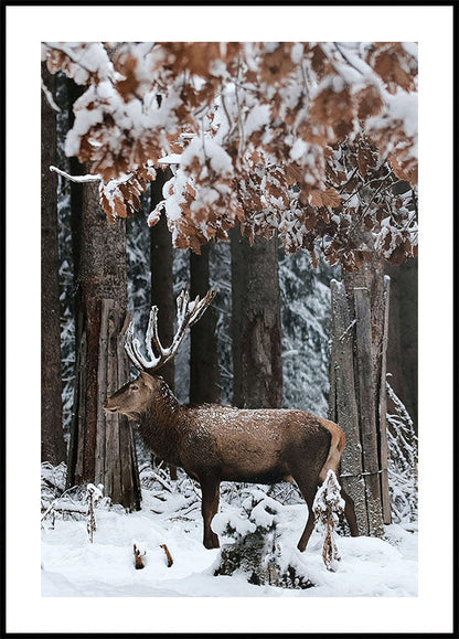 Poster Hirsch in einem verschneiten Wald 