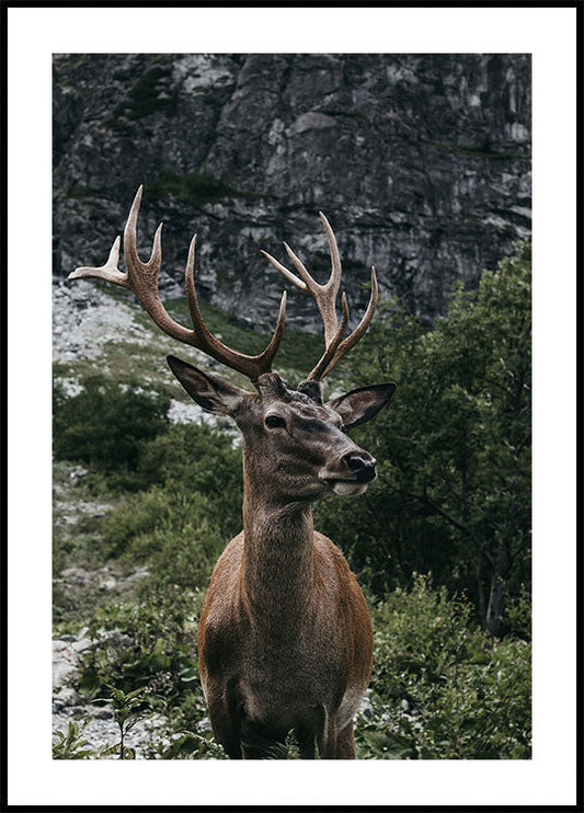 Poster Hirsch und Berge 