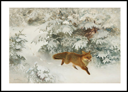 Fuchs in Winterlandschaft von Bruno Liljefors Nr. 1 Poster 