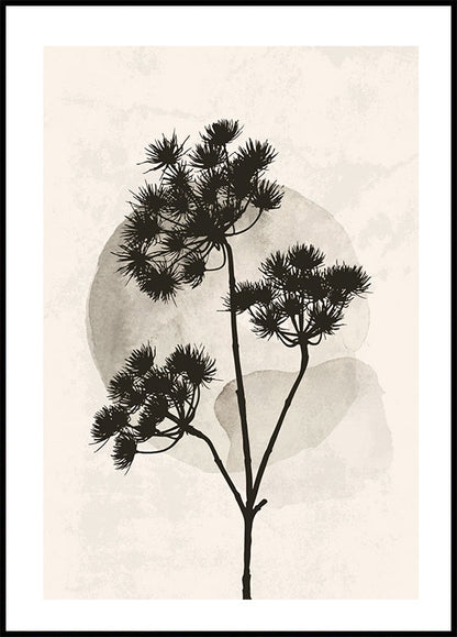 Poster Getrocknete Blumen-Silhouette 